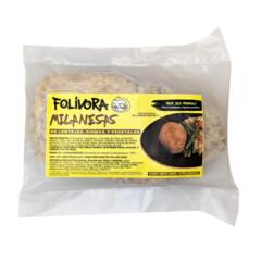 Milanesa de Lentejas, Quinoa y Vegetales Asados x 220g - Folivora