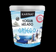 Yogurt Helado Griego x 320g - Karinat